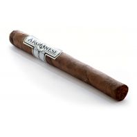 Arganese Maduro Churchill