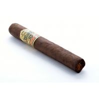 Ashton VSG Robusto