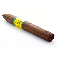 Bahia Brazil Torpedo