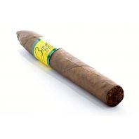 Bahia Brazil Torpedo