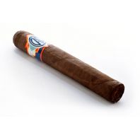 CAO Expedición 2020 Toro