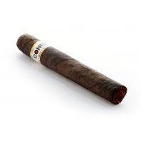 Cohiba Puro Dominicana Robusto