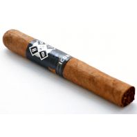 Hoyo ICON Robusto