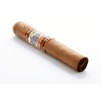 Perdomo Lot 23 Robusto