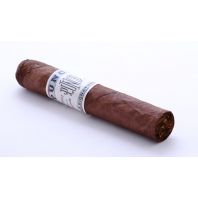 Punch Signature Robusto