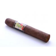 REO Robusto