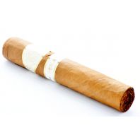 Romeo y Julieta Perlado Robusto