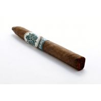 Room101 Farce Maduro Limited Edition Piramide