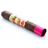 San Cristobal Ovation Opulence