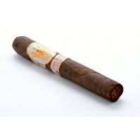 Shrouded Crown Maduro Toro